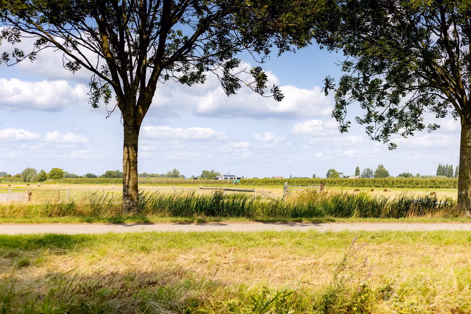 Vergaderen bij Ontmoeting bij Ann in Utrecht via BuitenBusiness