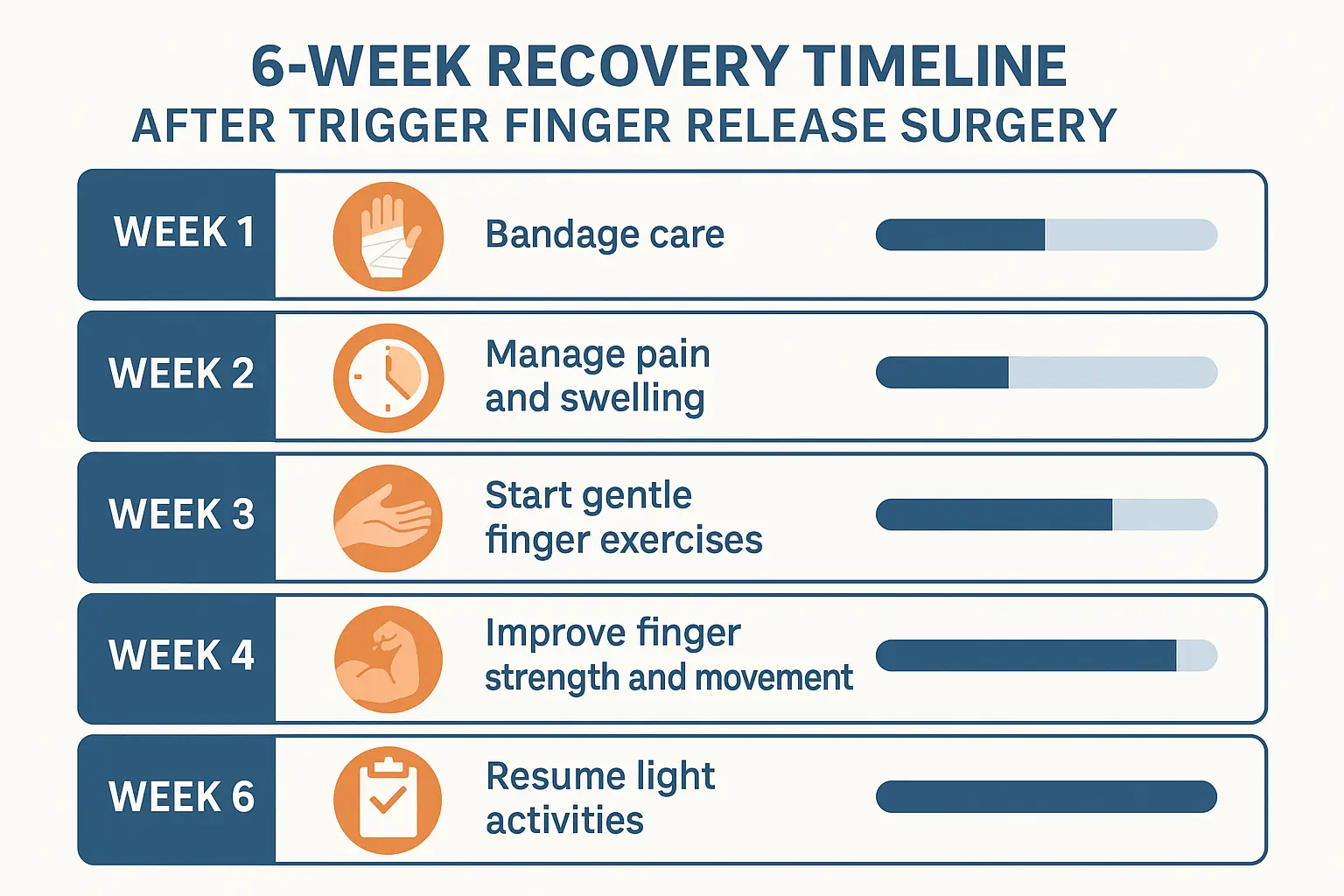  Create a detailed infographic in 1536x1024 landscape format