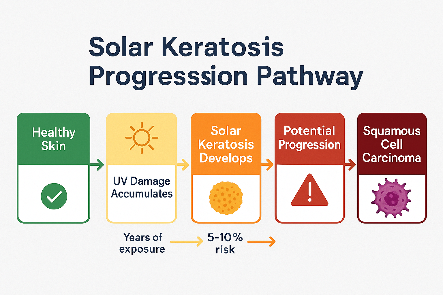 Professional landscape flowchart diagram (1536x1024) for section "From Sun Damage to Potential Cancer". Type: Medical progression flowchart.