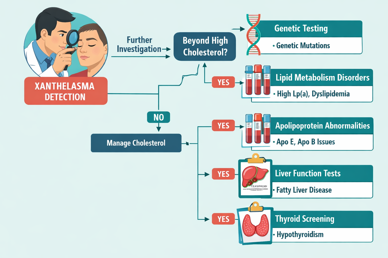 Comprehensive diagnostic flowchart illustration showing pathway from xanthelasma detection to underlying causes beyond cholesterol, includin