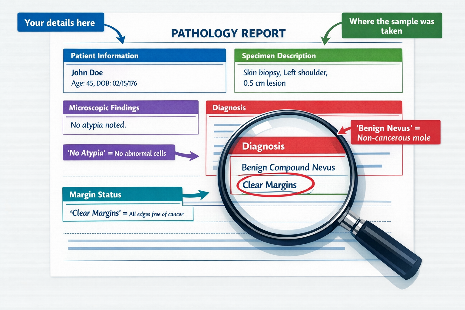 Detailed landscape format (1536x1024) image displaying sample pathology report document with highlighted key sections including patient info