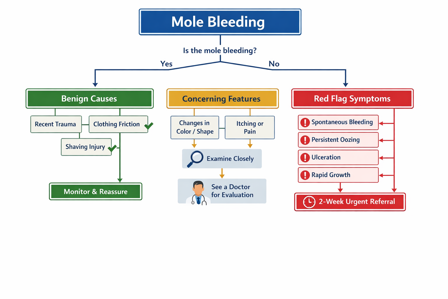 Comprehensive landscape format (1536x1024) clinical decision flowchart diagram starting with 'Mole Bleeding' at top, branching into evaluati