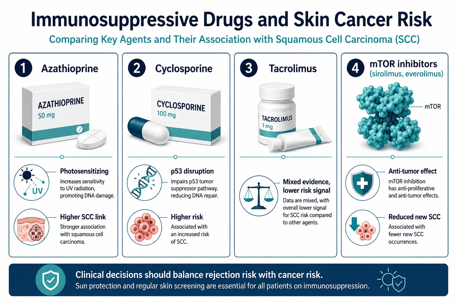 Which Immunosuppressive Drugs Increase Cancer Risk the Most