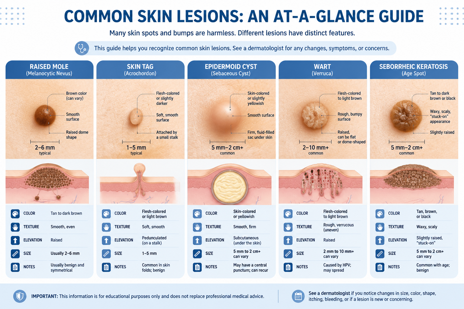 What Is the Difference Between a Mole and a Skin Lesion?