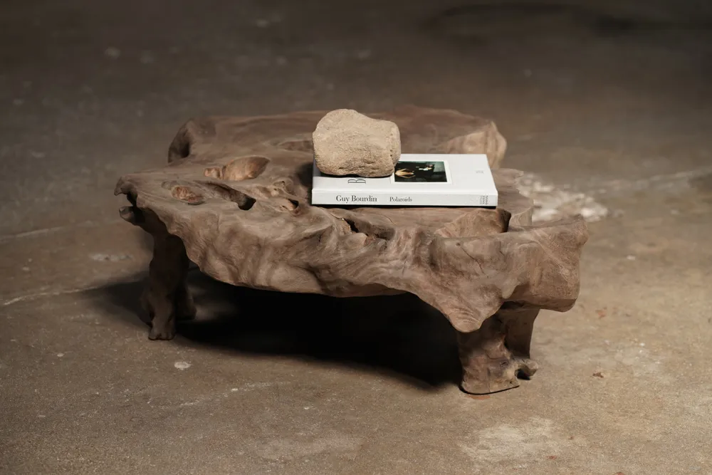 Organic Root Coffee Table