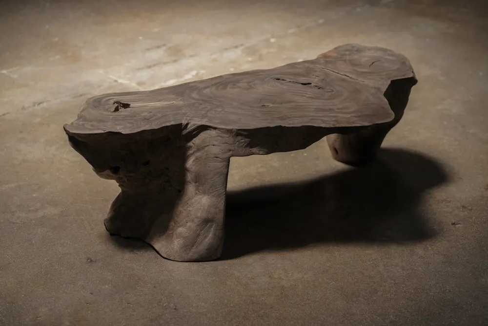 Primitive Low Table