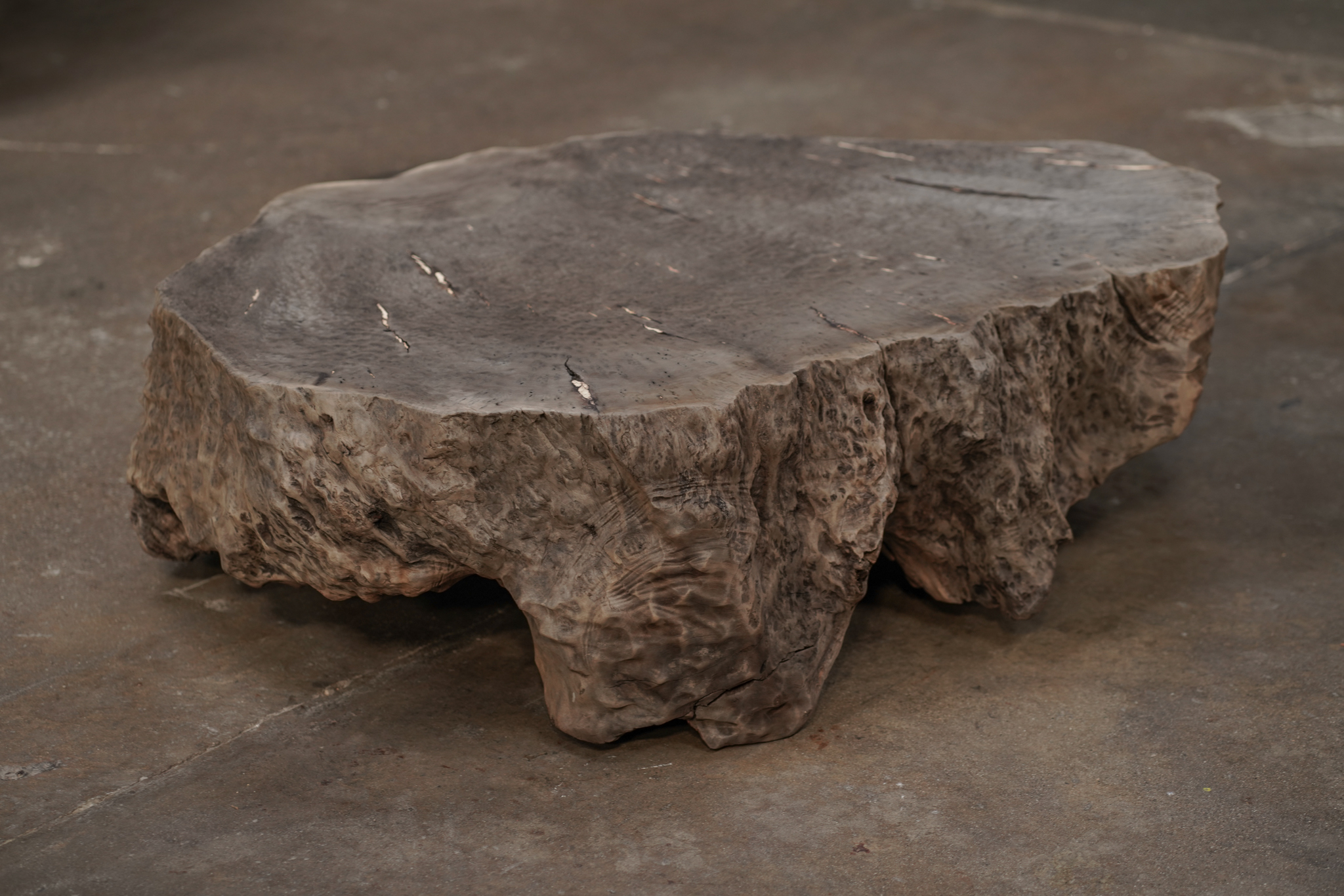 Organic Coffee Table