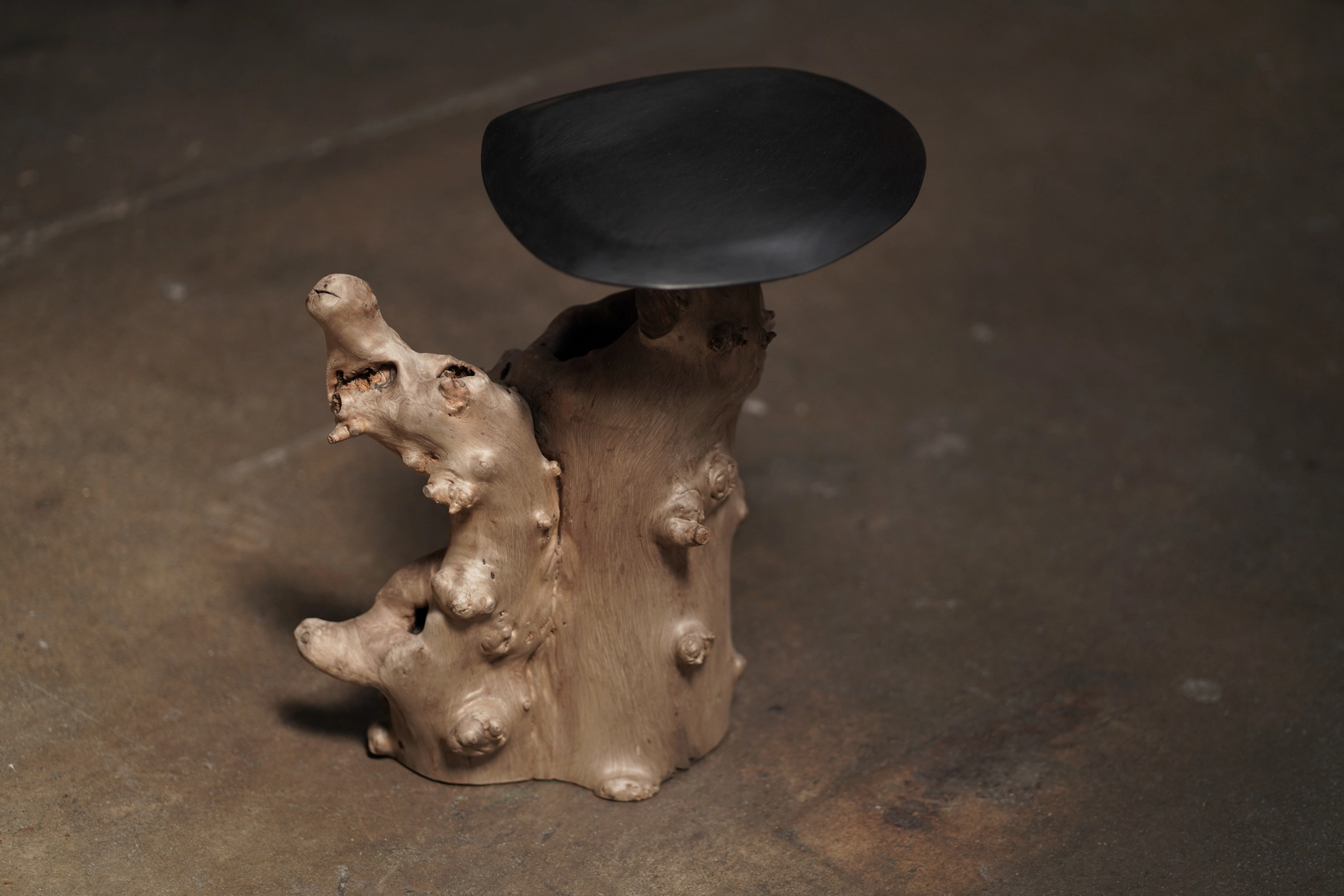 Sculptural Cashew Side Table 