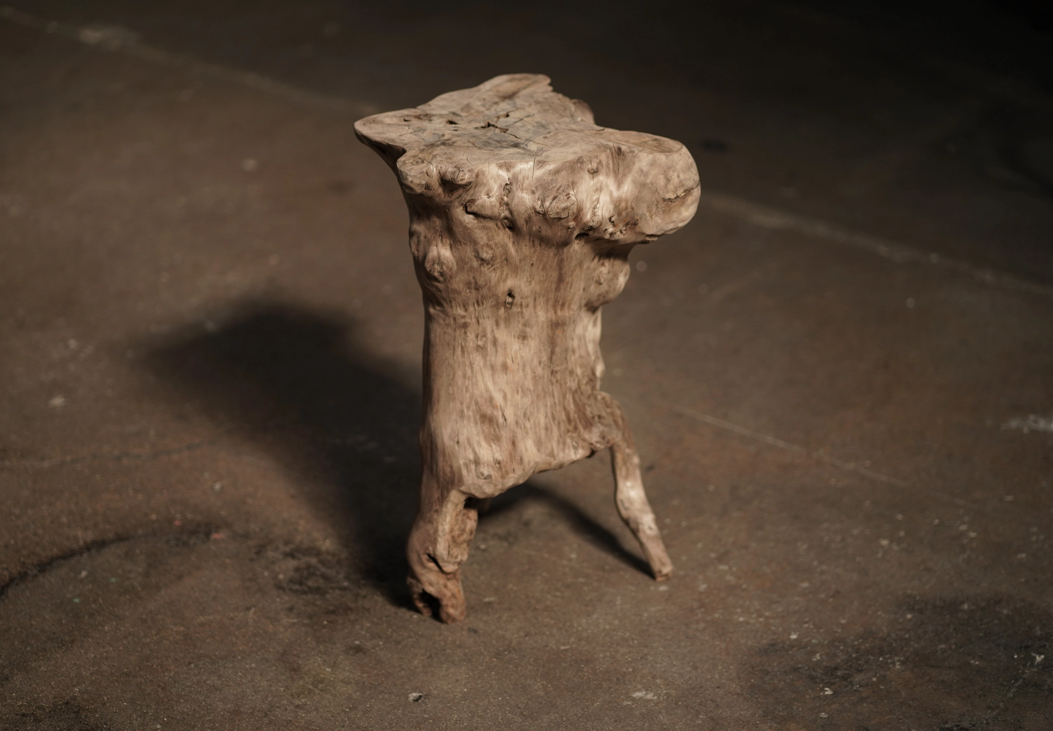 Organic Root Side Table