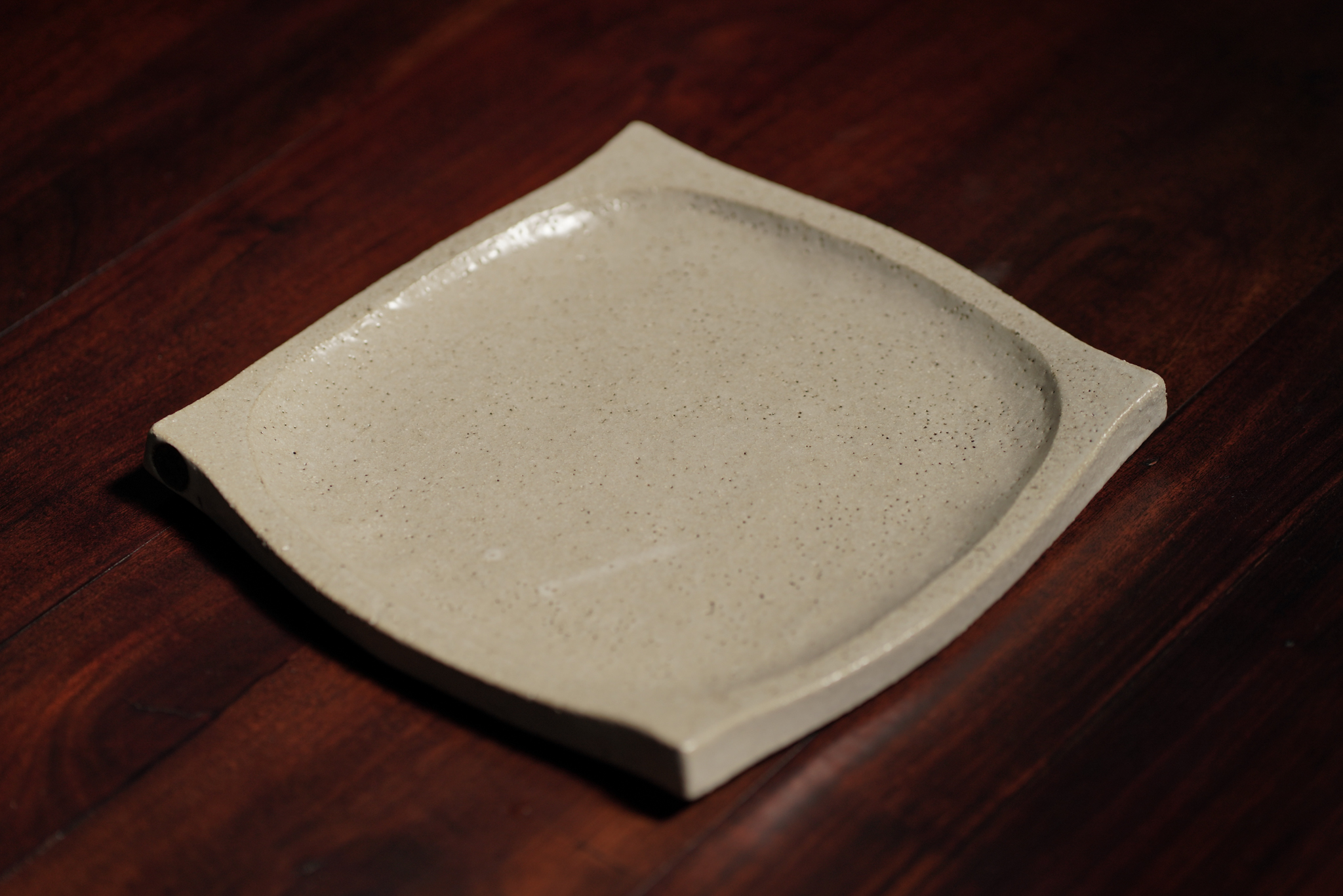 Cat Tray, Lichen 