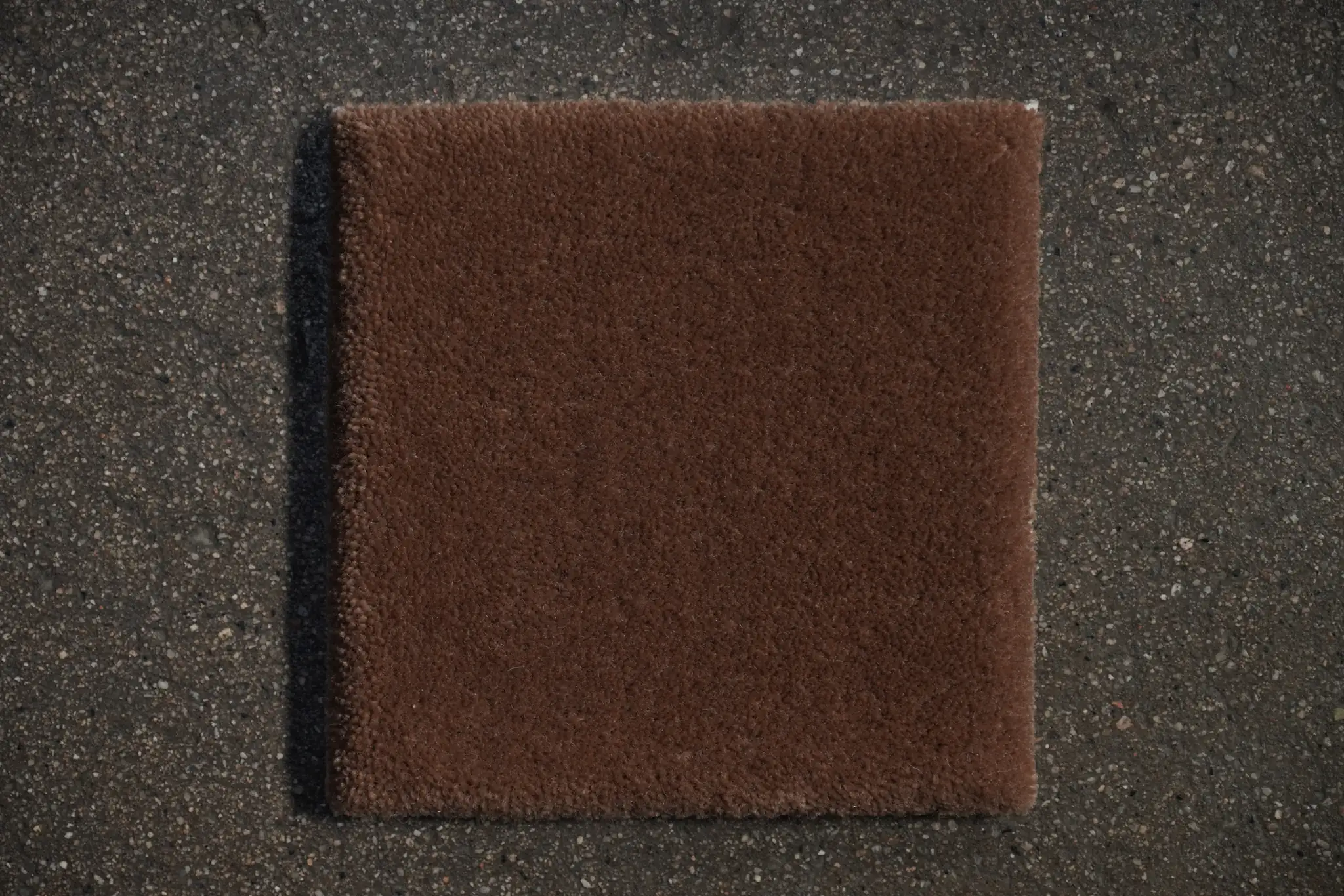 New Zealand Wool Rug, Seashell