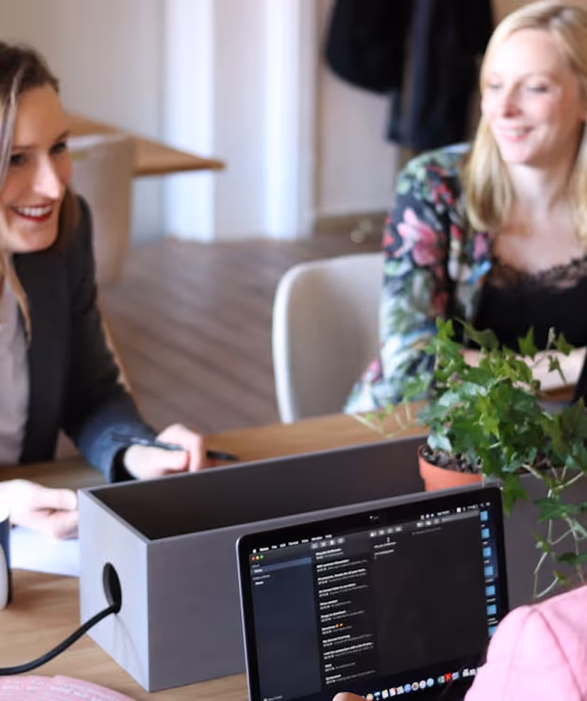 Two women smiling and conversing at a table with a laptop and a potted plant.