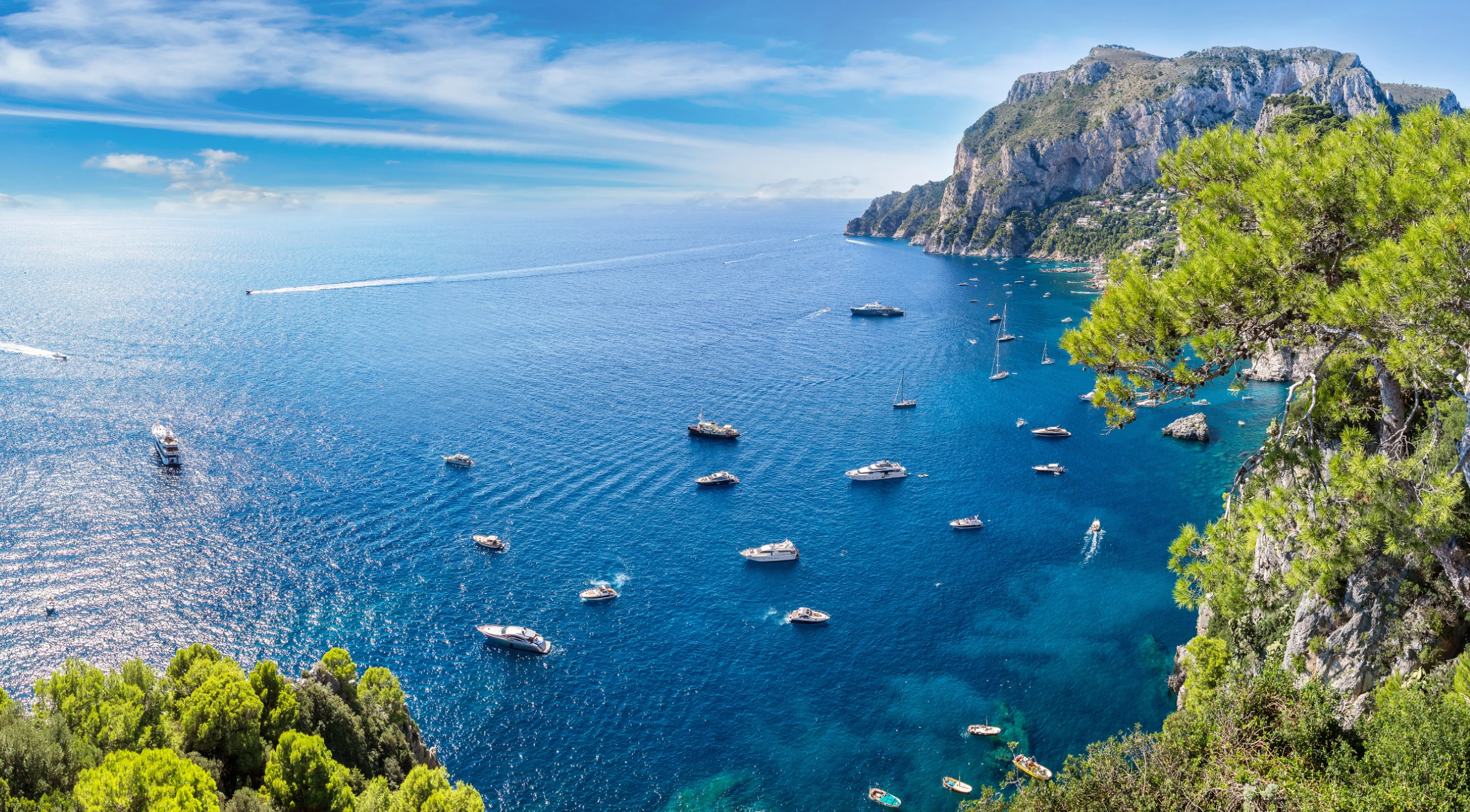 Blue sea with many boats near rocky coastline and green pine trees under a partly cloudy sky.
