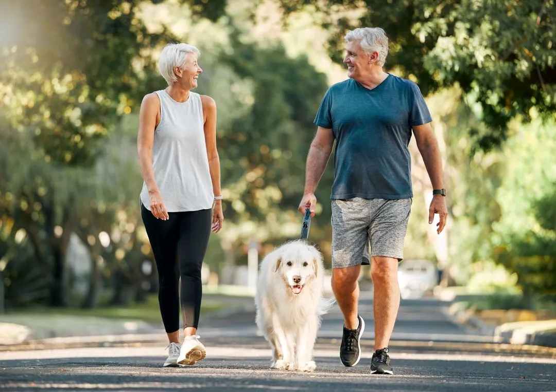 A man and woman walking a dog down a street.