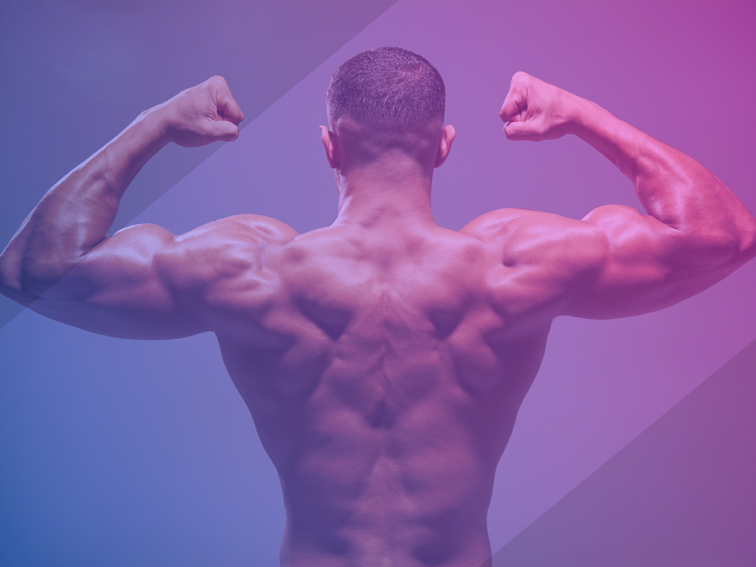 These essential amino acids, vitamins, and B12 are the perfect blend to transport fatty acids into mitochondria where they can be burned for energy. An extra benefit is mood improvement and additional appetite control.