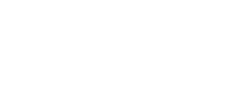 solidustech logo light slim