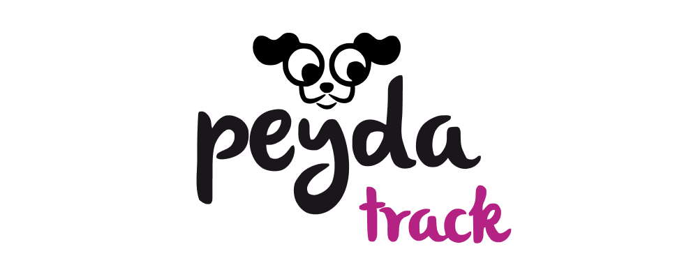 Peyda track