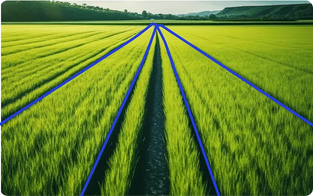 Green agricultural field with rows of crops marked by blue lines converging towards the horizon.