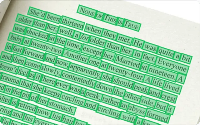 Pages of a book with green highlighted text arranged in individual cut-out rectangles with various words and phrases.
