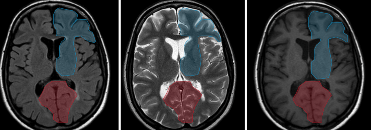 Medical annotate 1