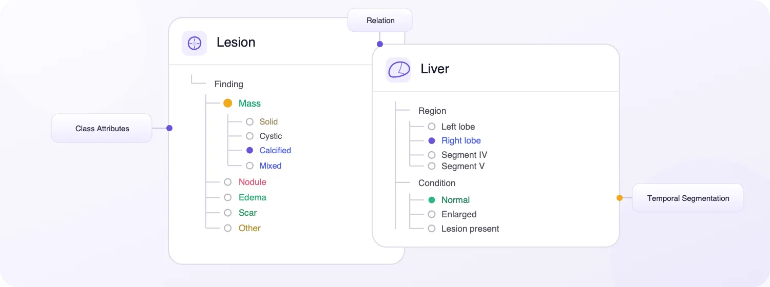 Clinical ontology hierarchy with lesion and liver classes, attributes, relations, and temporal segmentation