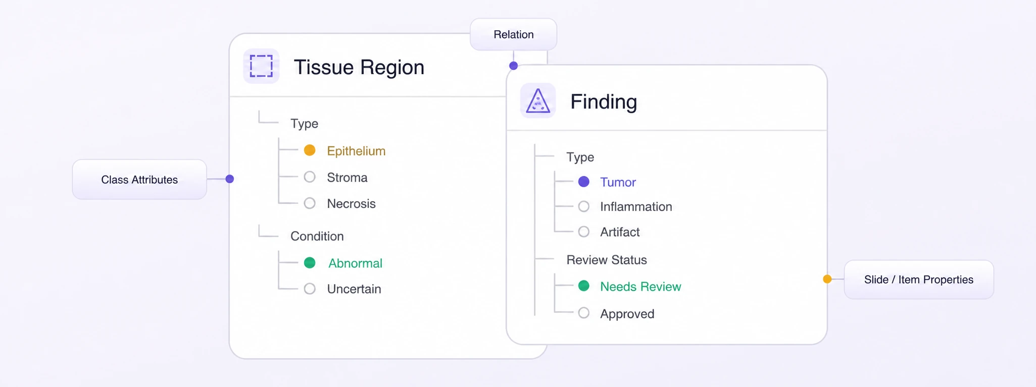 Pathology Ontologies Compact staggered pathology ontology for tissue regions, findings, attributes, relations, and slide properties.