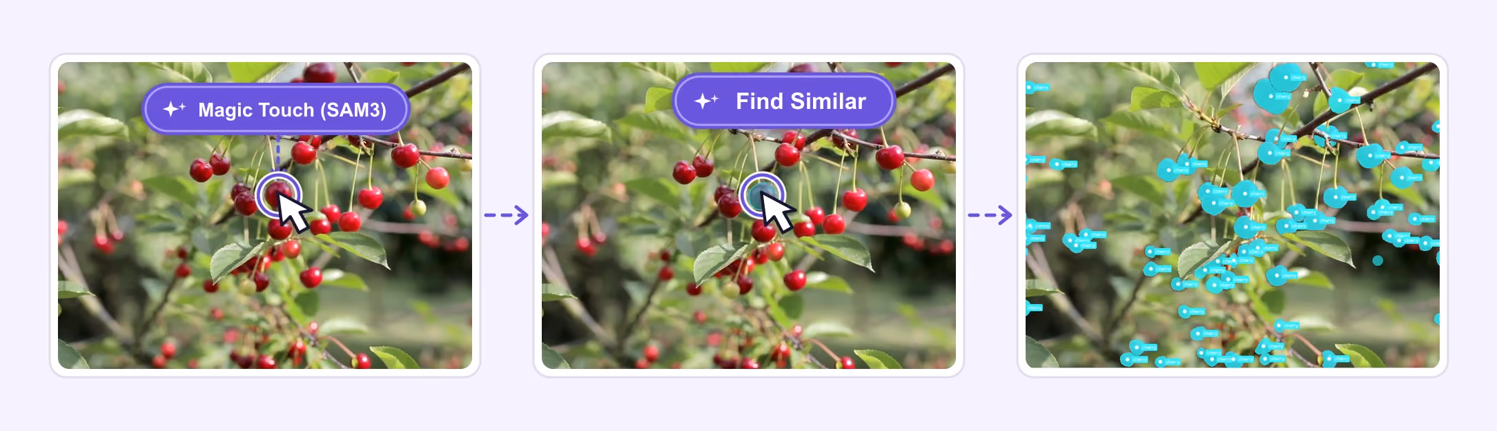 AI-assisted image labeling with editable segmentation Magic Touch (SAM3) selects one cherry, then Find Similar identifies matching cherry segmentation masks