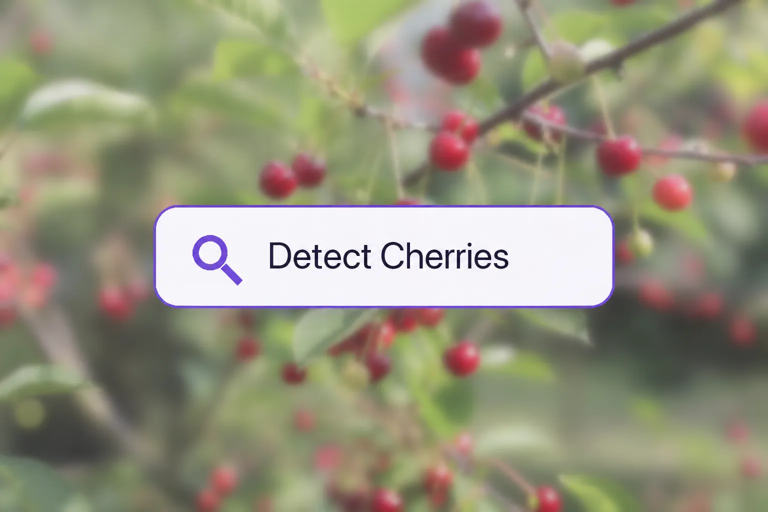 Prompt Auto-Labeling Prompt Auto-Labeling input reading Detect Cherries over a cherry orchard image