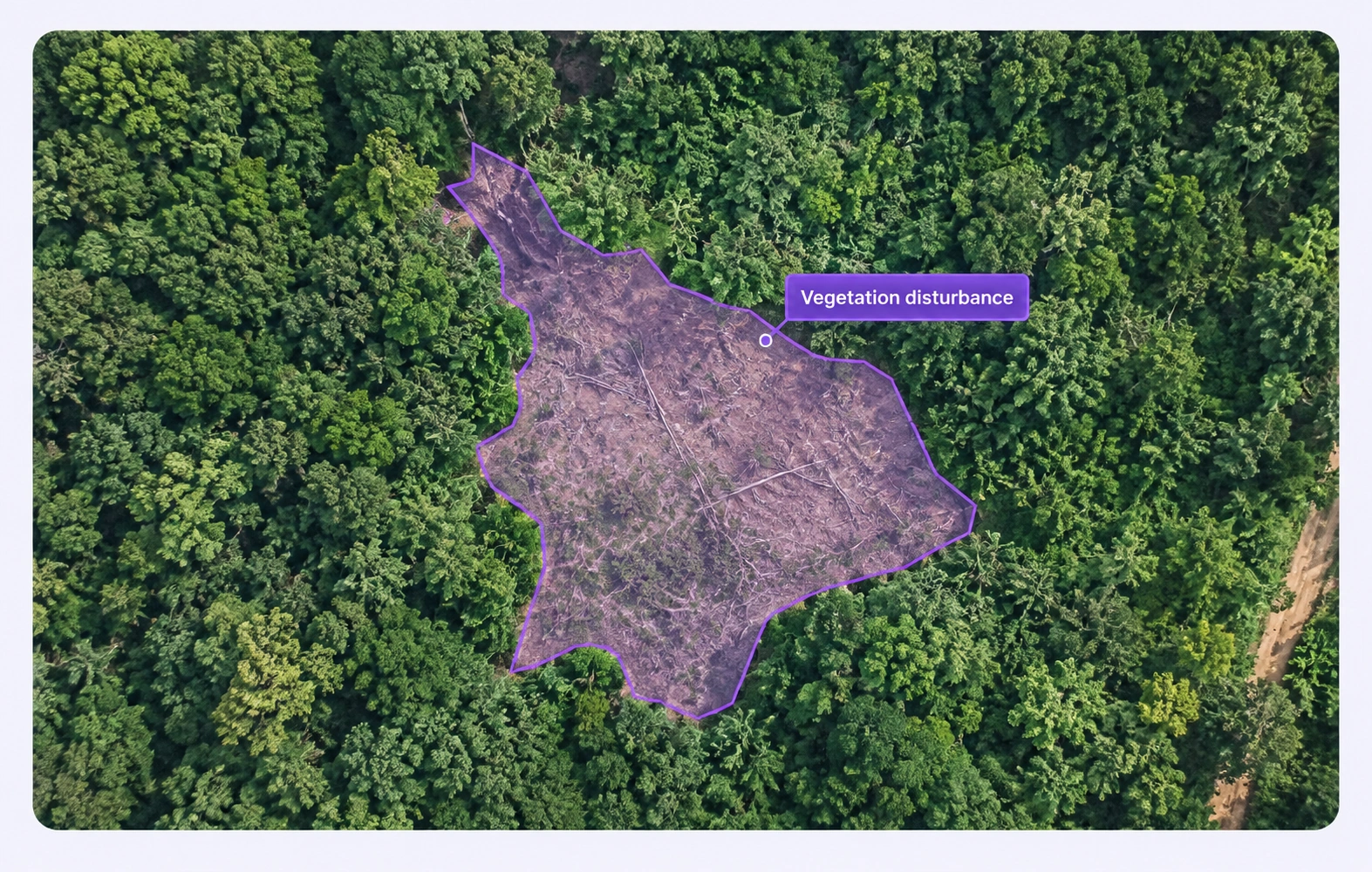 Forest imagery with a visible vegetation-disturbance region annotated.