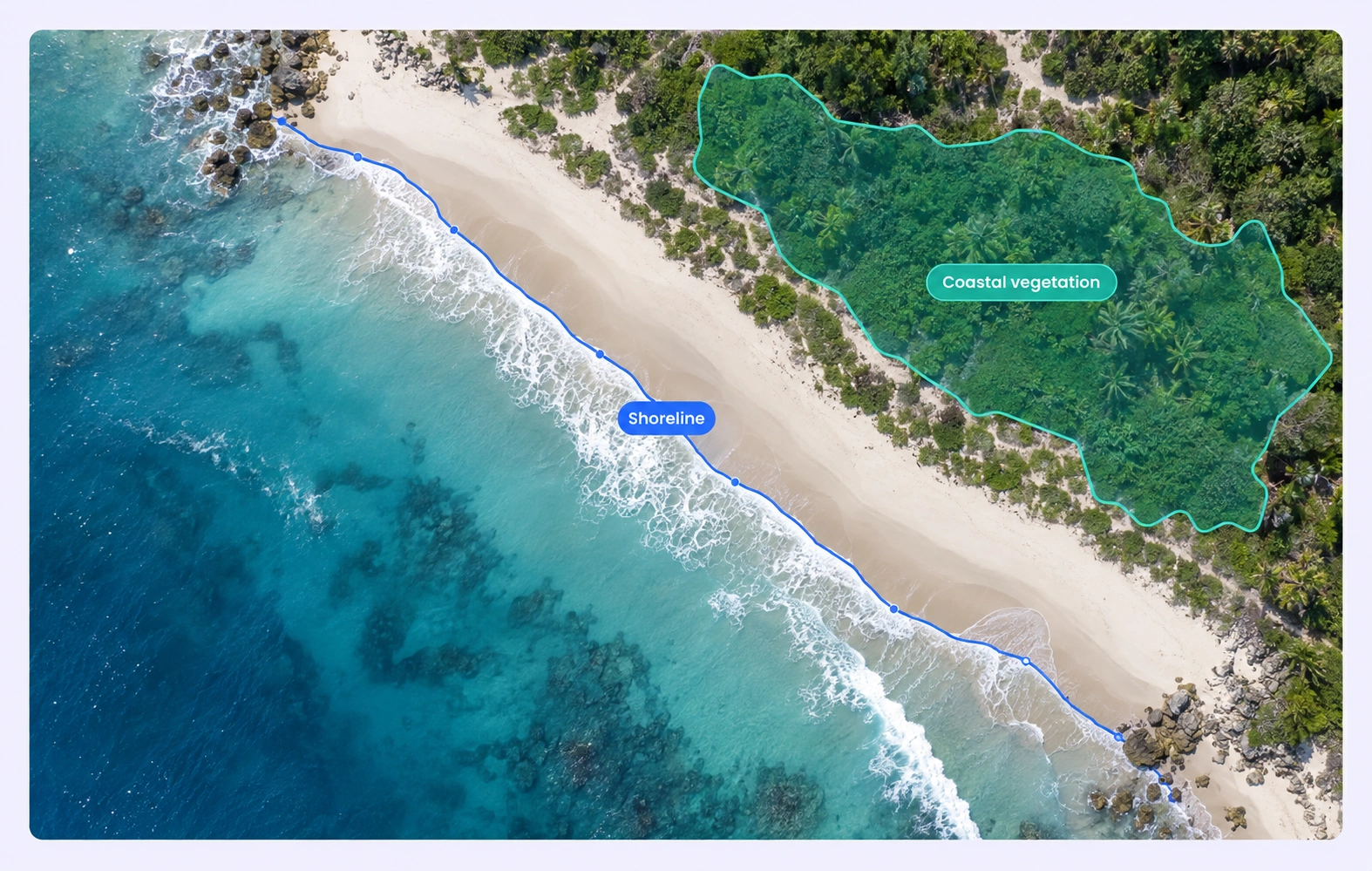 Coastal imagery with a shoreline line and coastal-vegetation region label.
