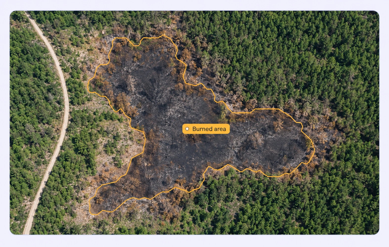Aerial forest imagery with a burned-area region annotation.