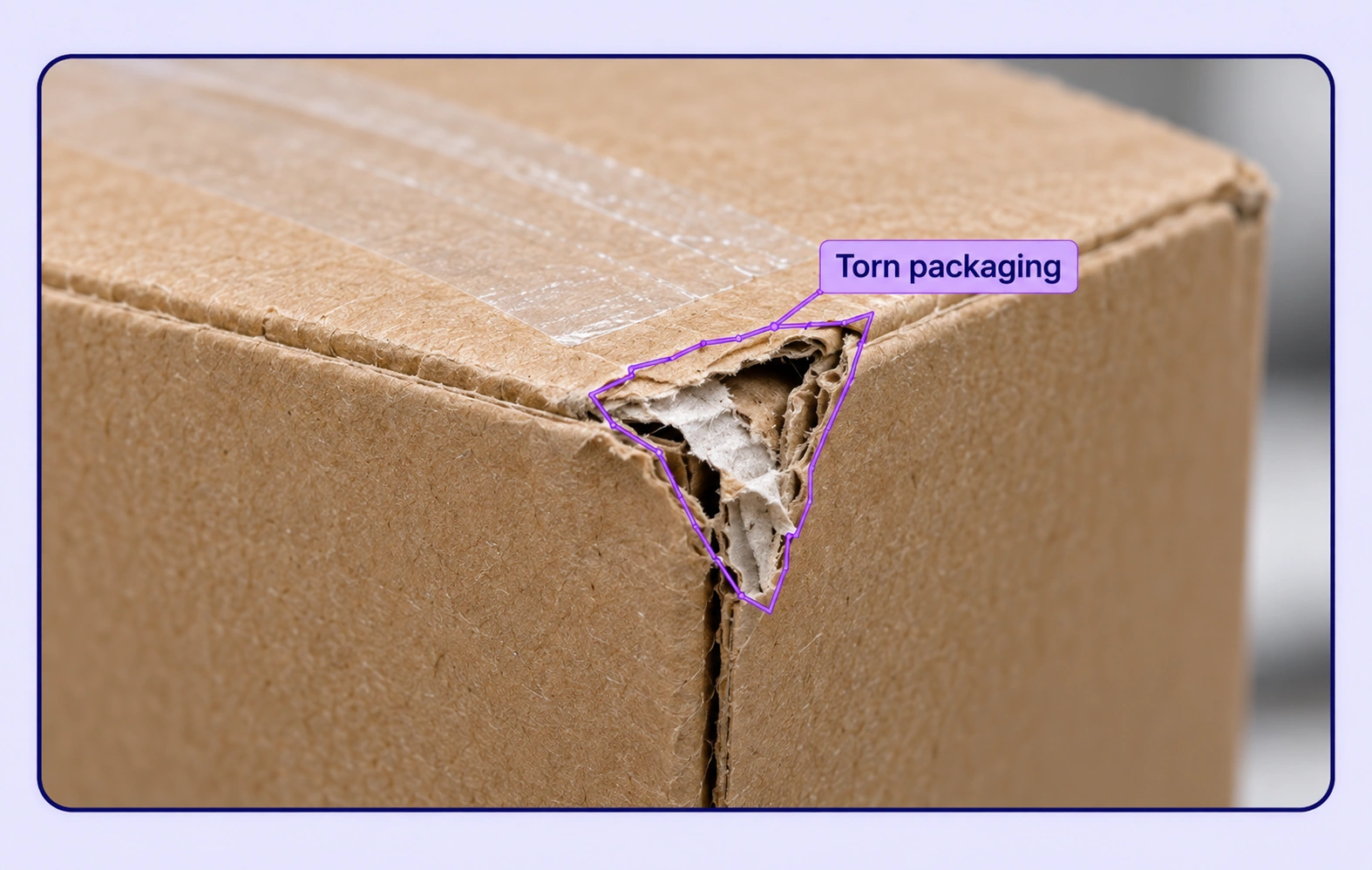 Packaging Defect Inspection annotation example showing the source data and task-specific labels.