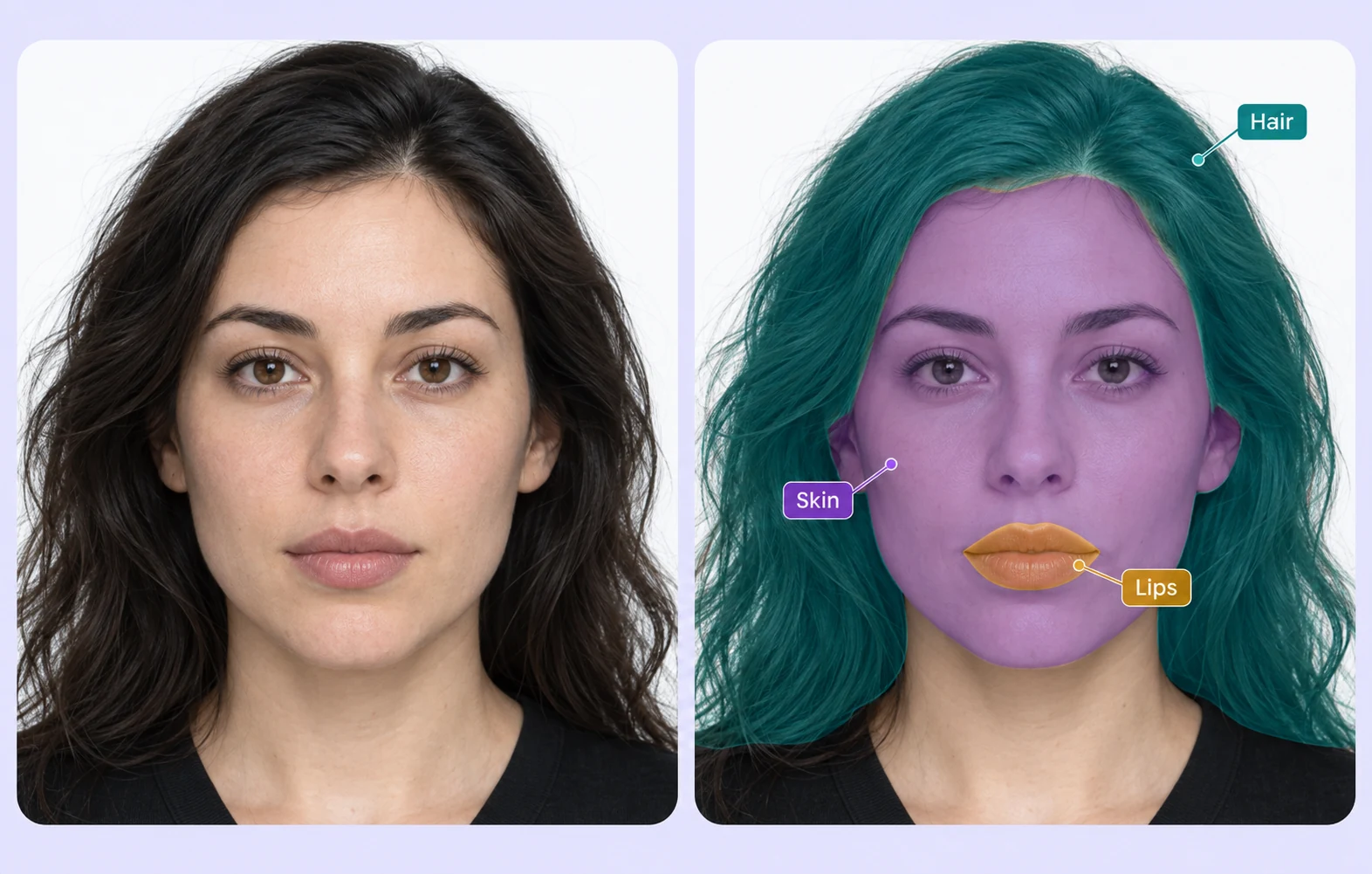 Facial region segmentation masks compared with the original portrait