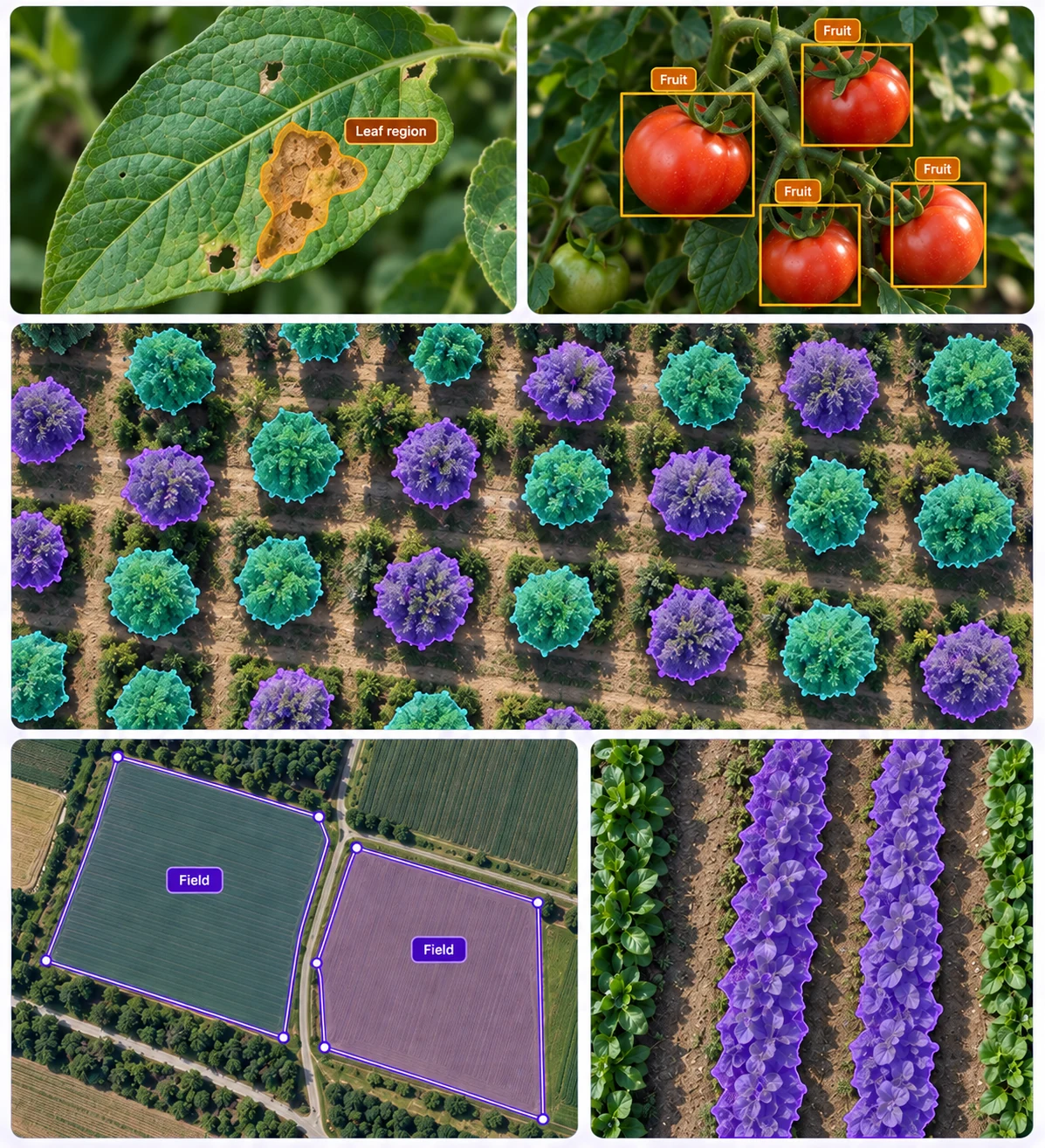 Leaf-region masks, fruit detection boxes, tree-canopy instance segmentation, field boundaries, and crop masks