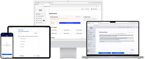 Slay School | AI Study Note Taker & Flashcard Maker