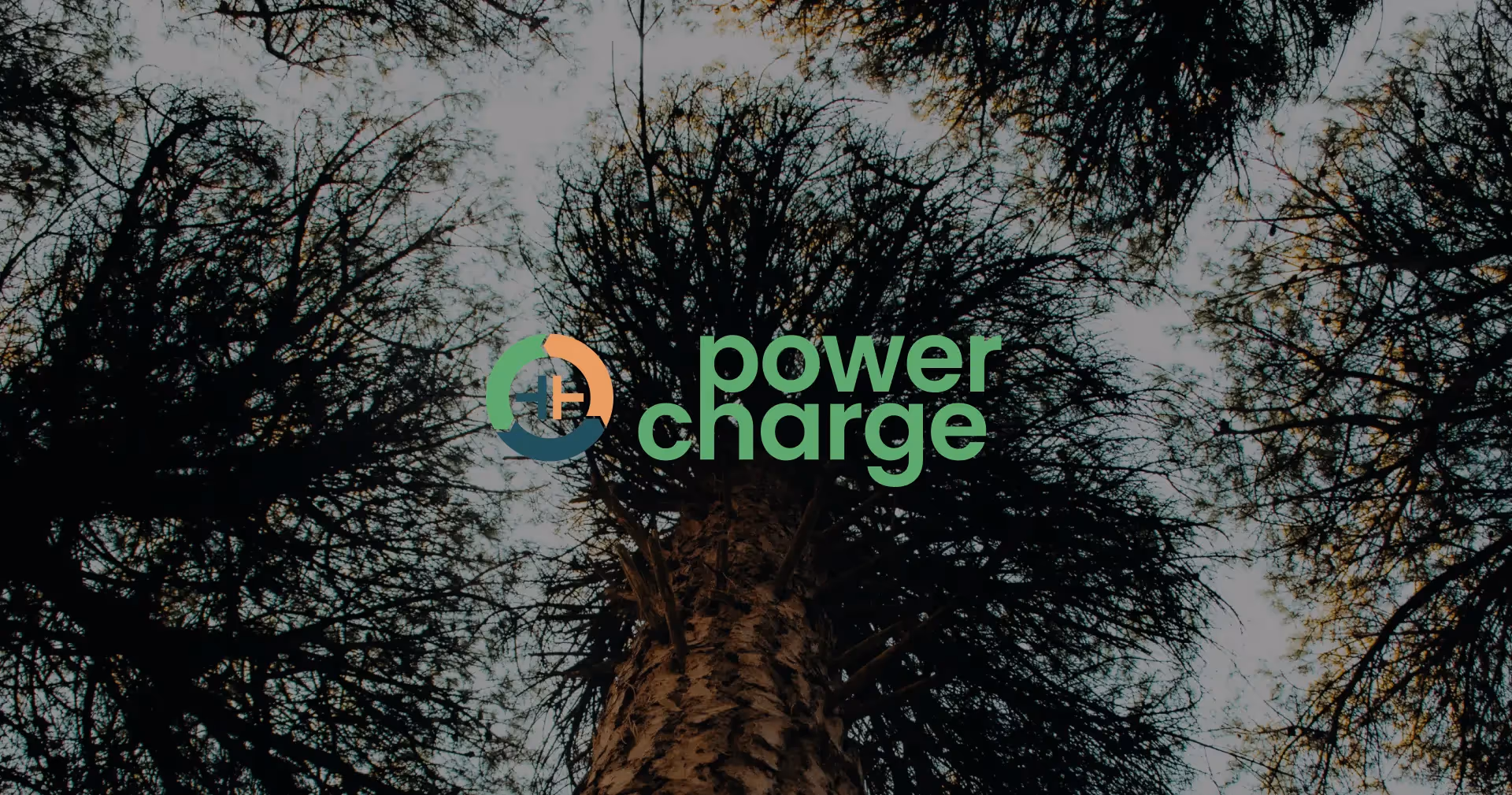 Powercharge Realisation image