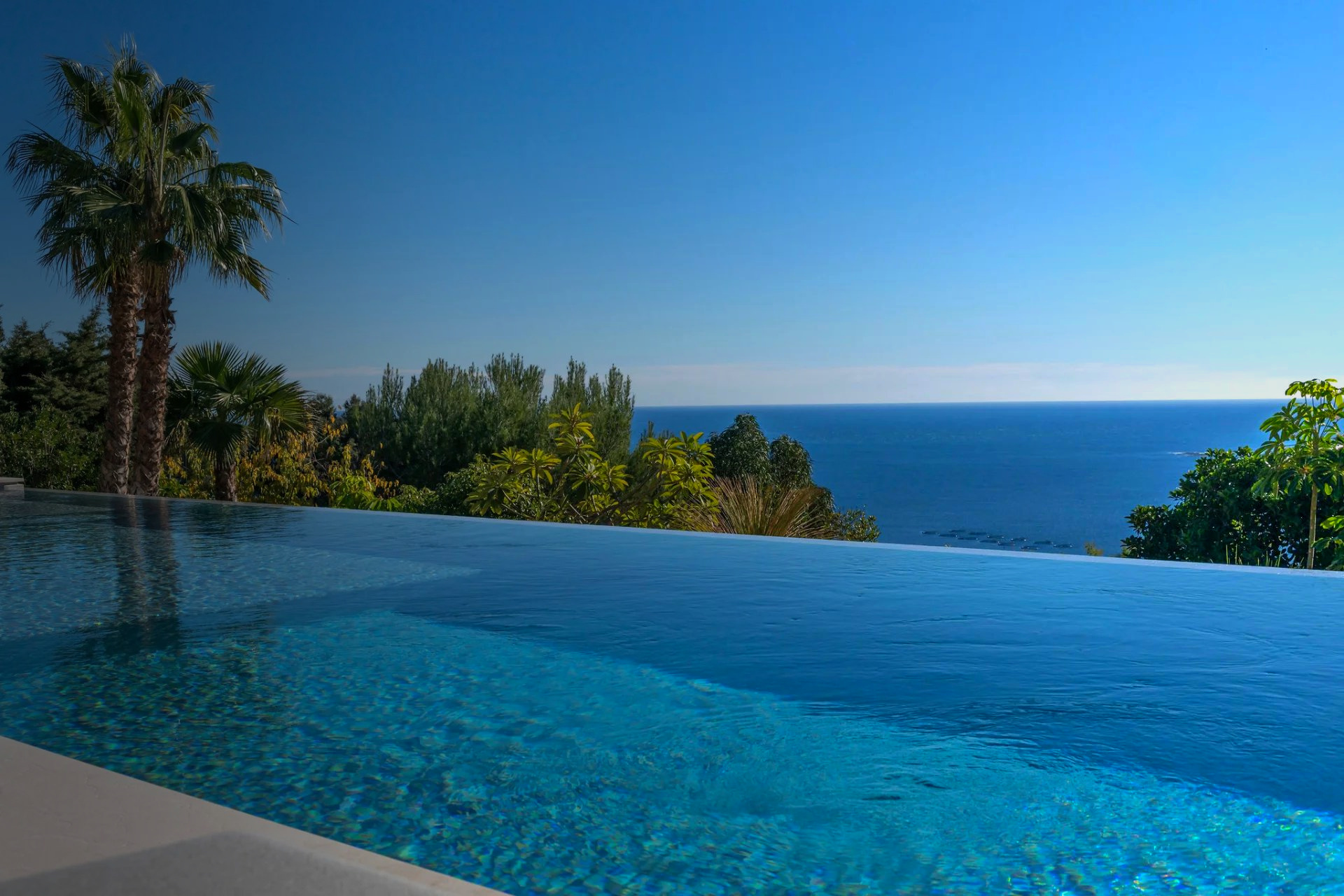 Infinity pool with palm trees overlooking the Mediterranean Sea
