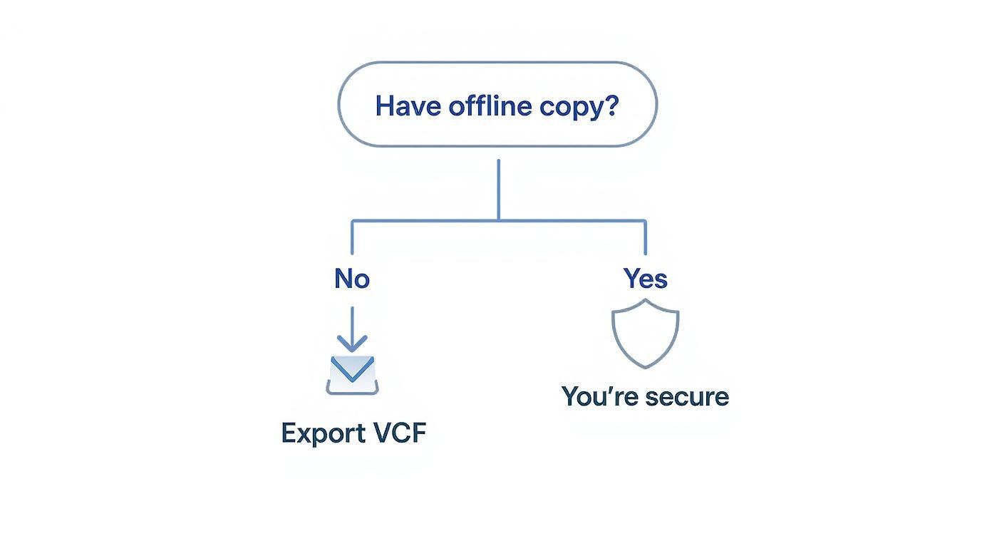 Flowchart showing decision tree for contact backup security with offline copy verification and VCF export option