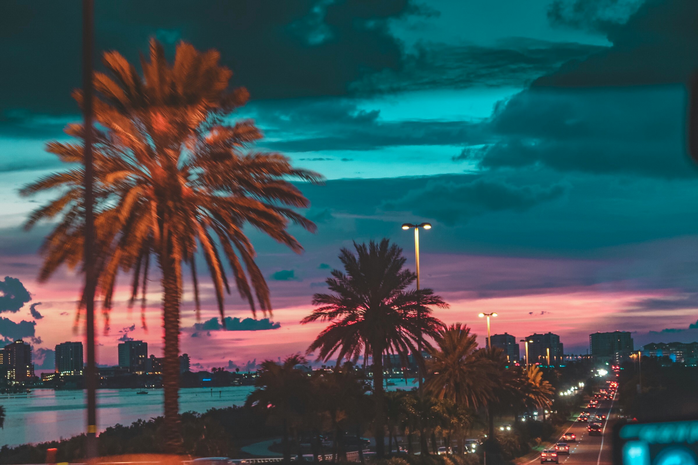 Tampa header image
