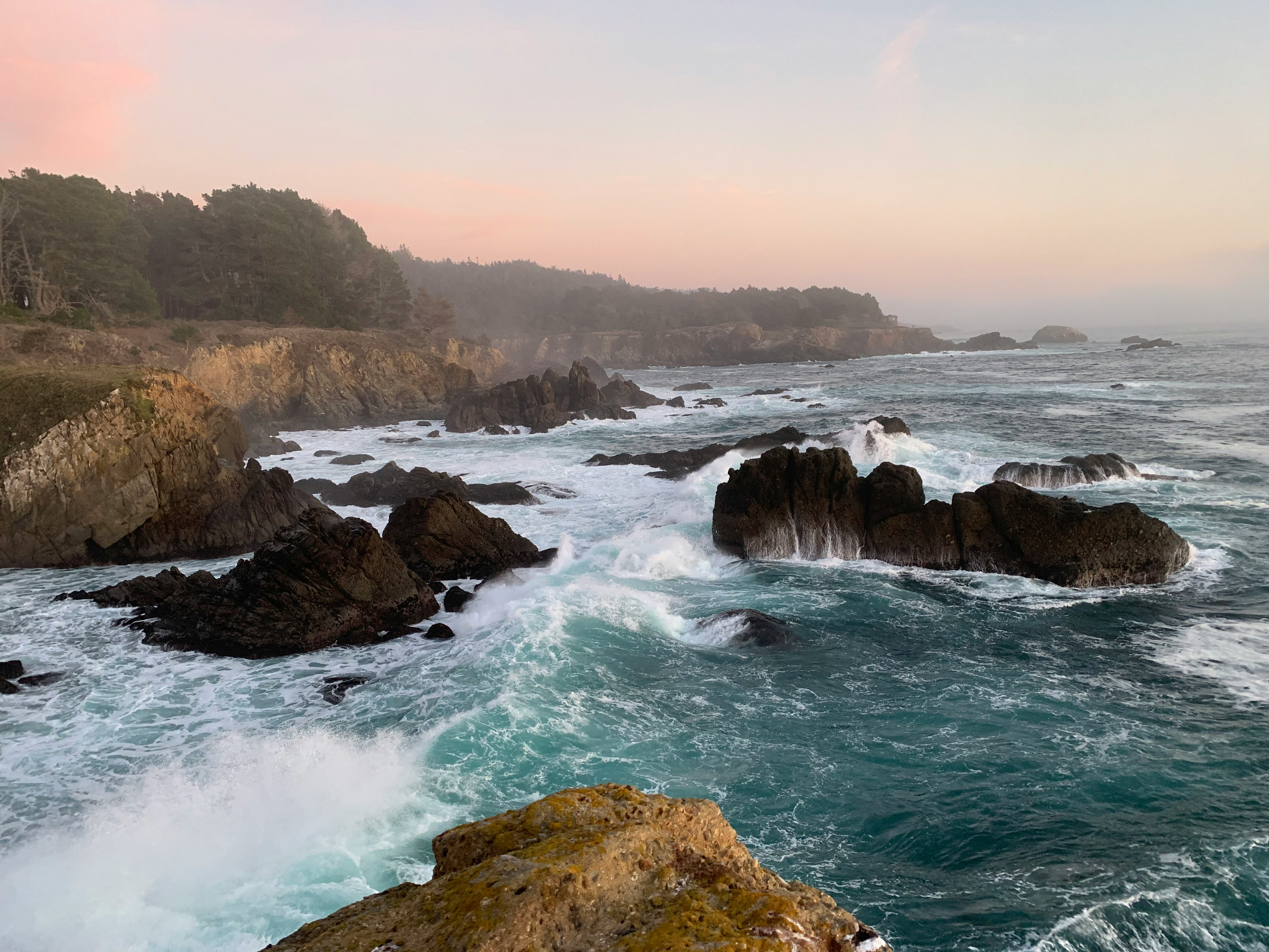Bodega Bay header image