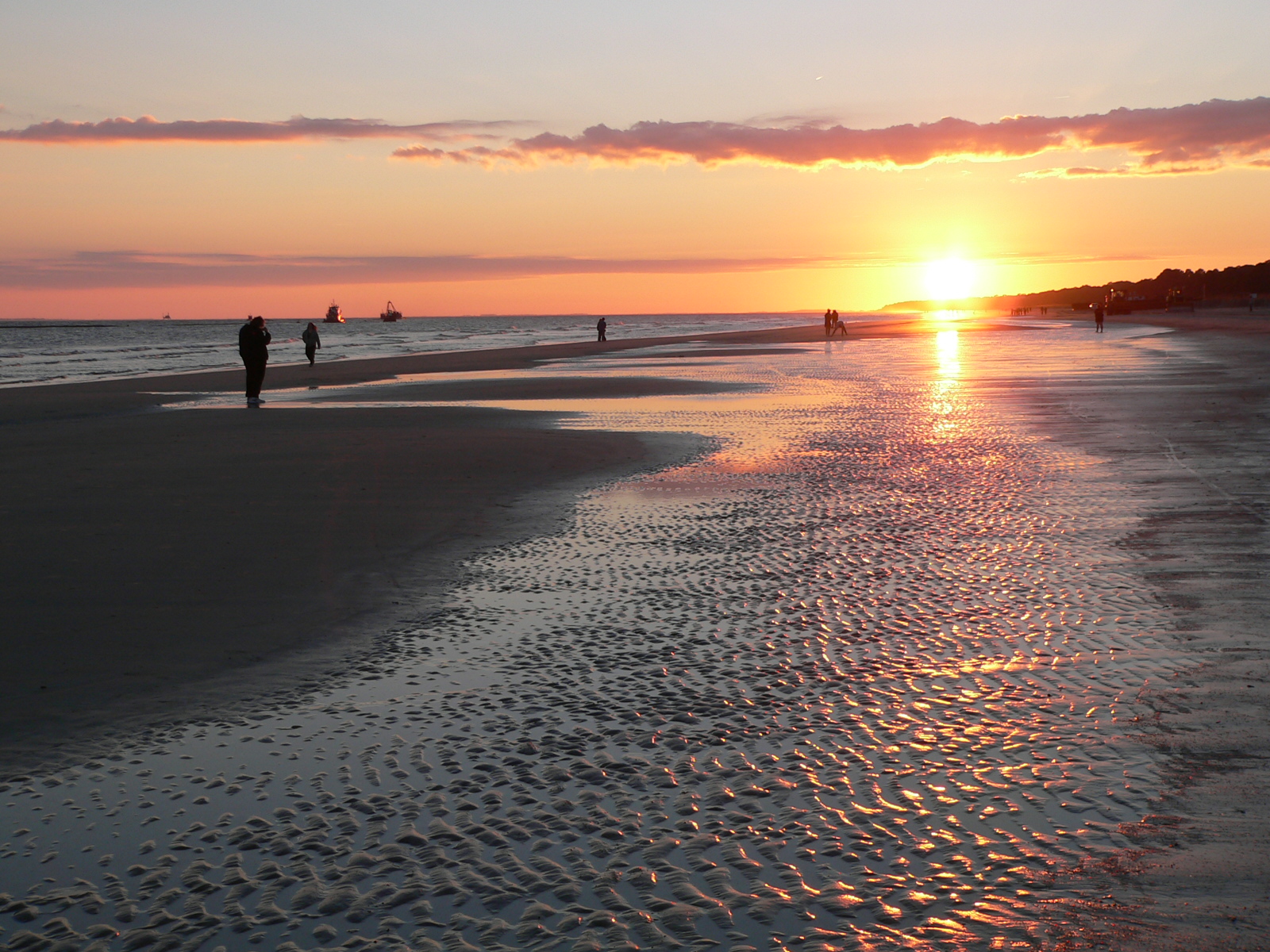 Hilton Head header image