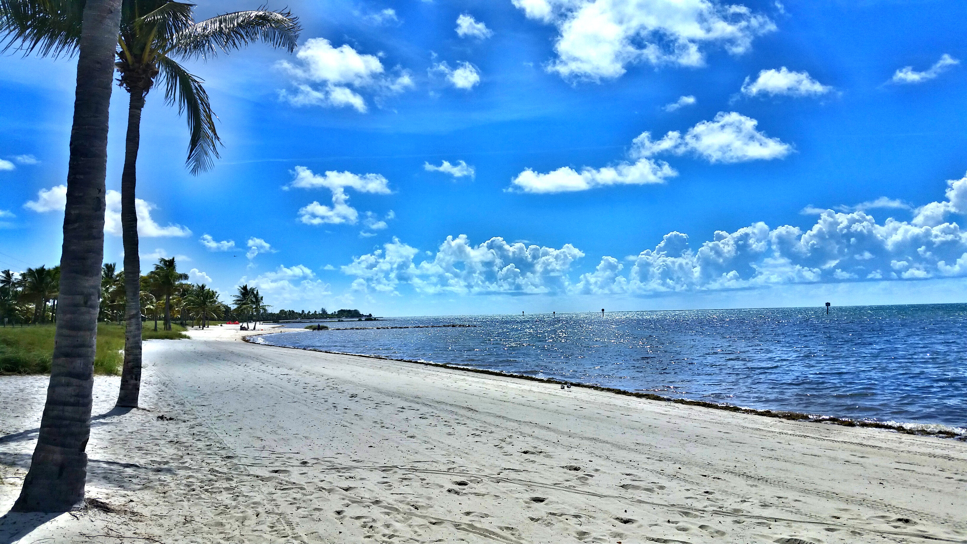 Little Torch Key header image