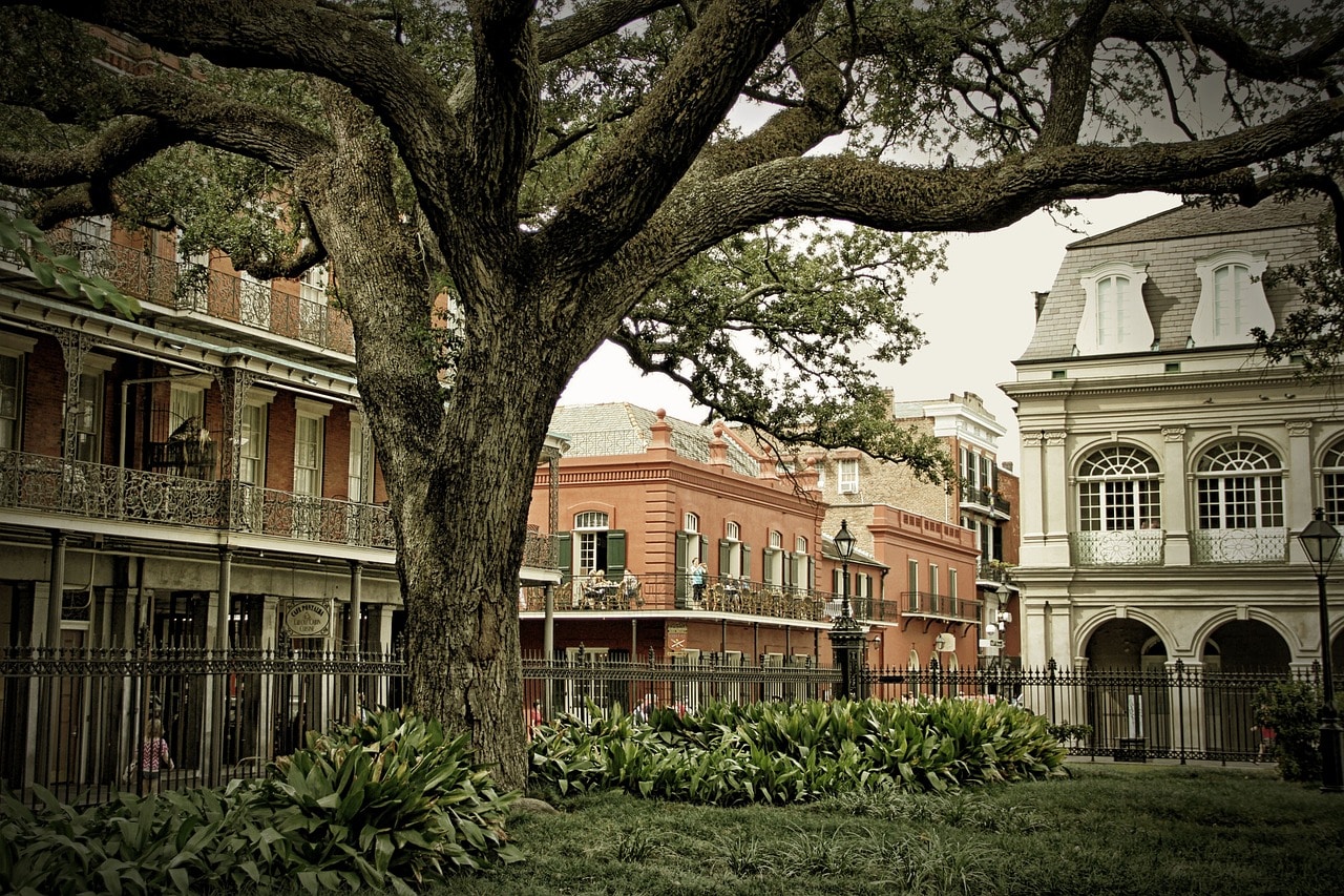 New Orleans header image