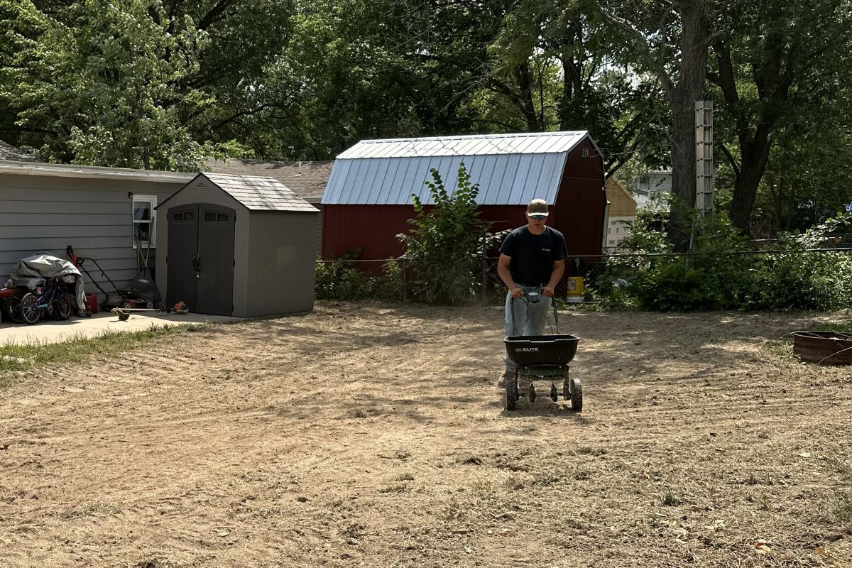 Project Single Image