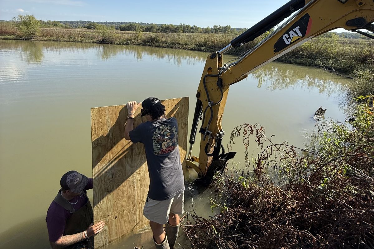 Project Single Image