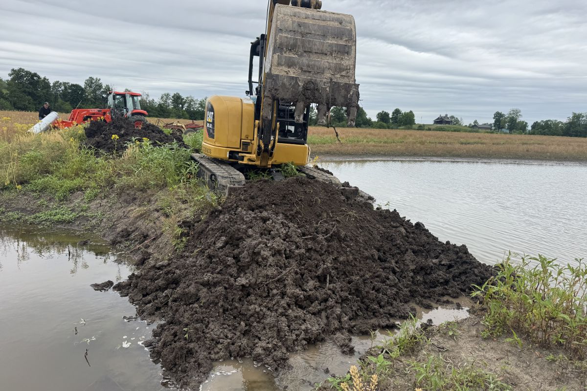 Project Single Image