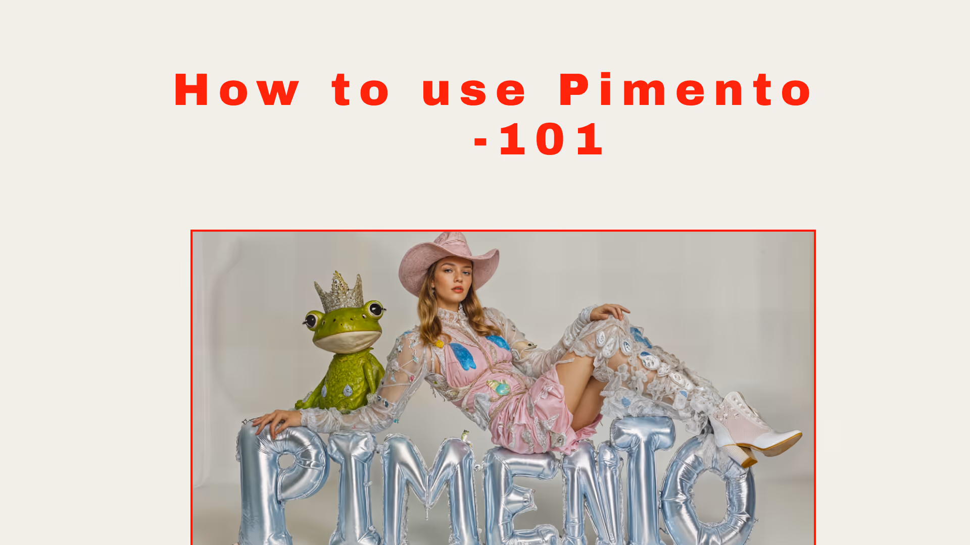 Cómo usar Pimento - 101 
