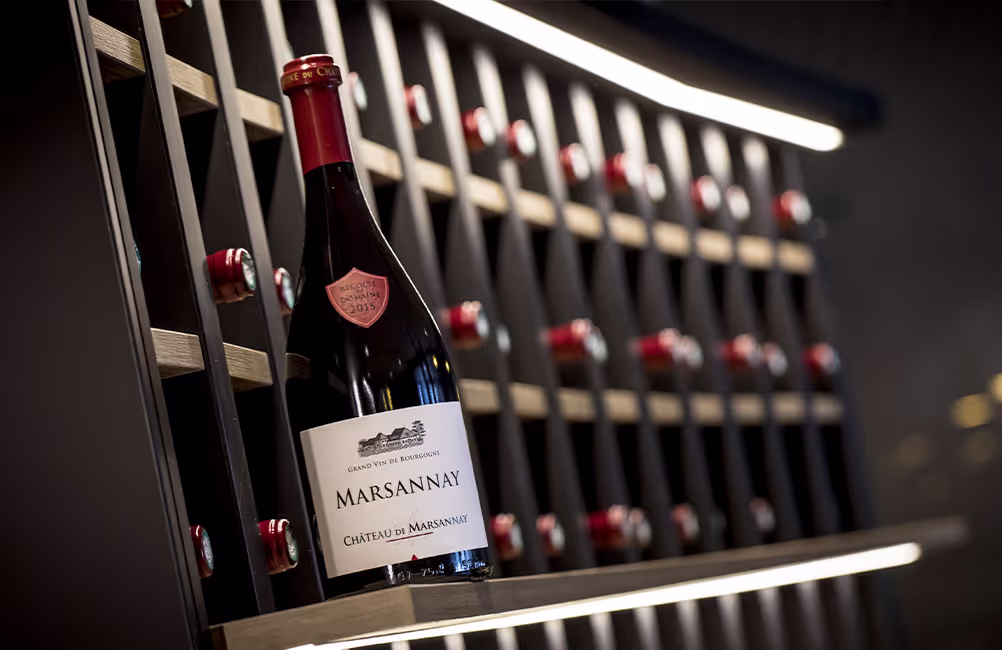 cave à vin school of wine