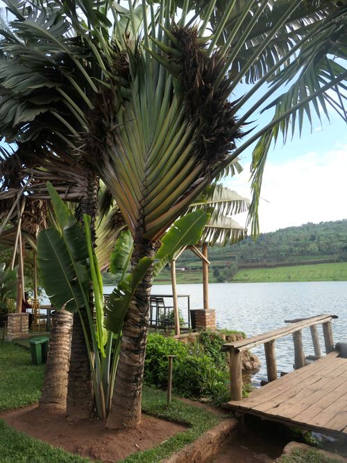 Photo de Marina Beach au bord du lac Muhazi