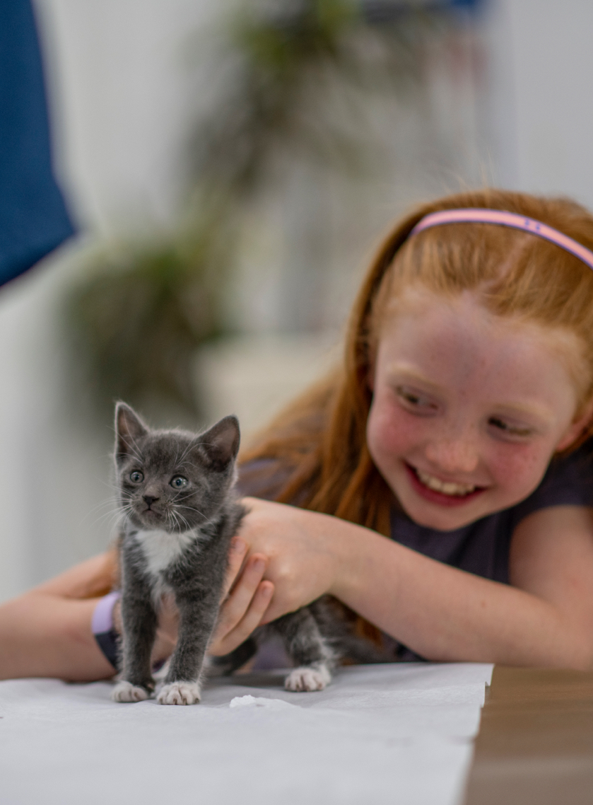 Girl bringing kitten to veterinarian